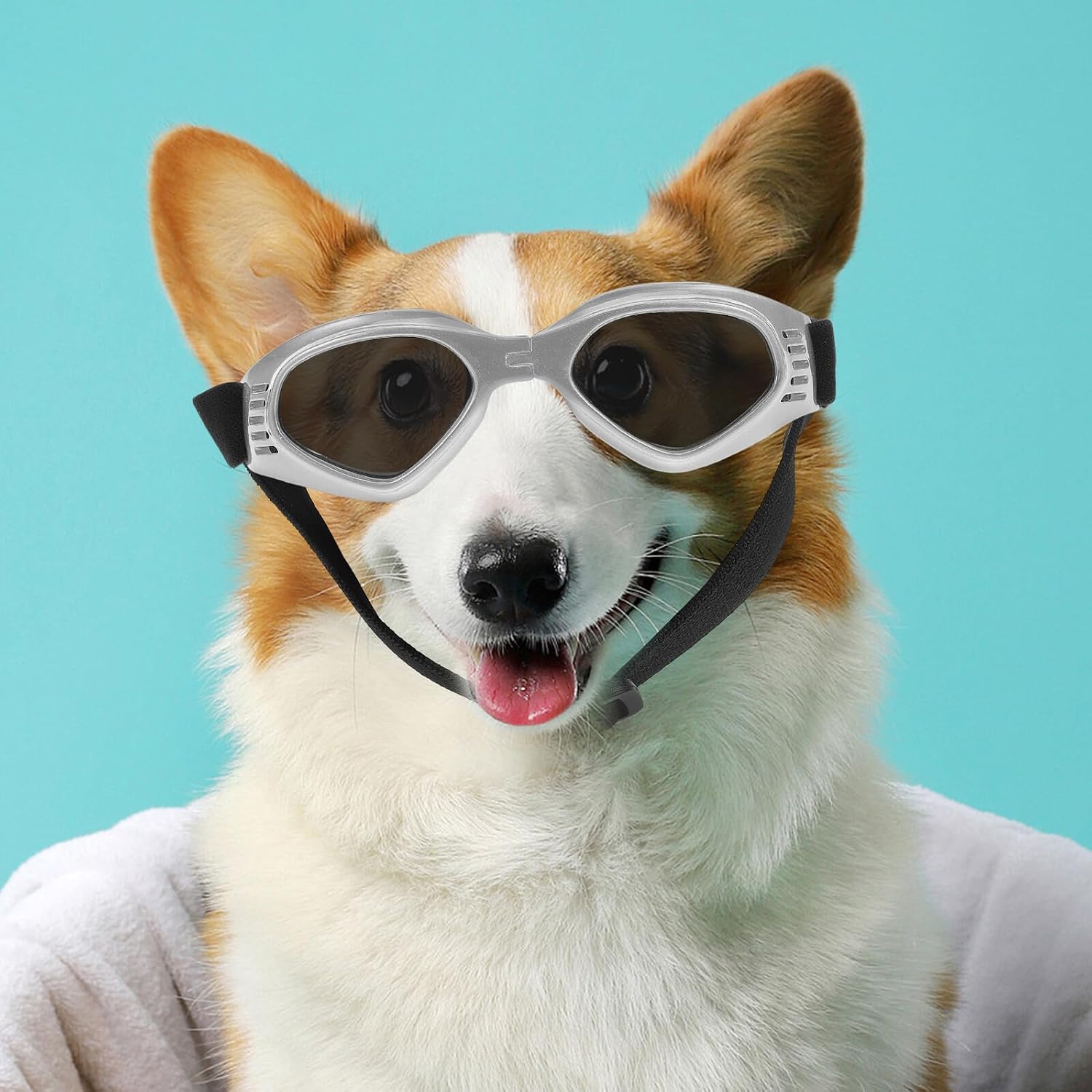 COLLBATH Small Pet Goggles UV Protection Foldable Windproof Silver Dog Sunglasses for Outdoor Use Compatible with Small Dogs and Cats