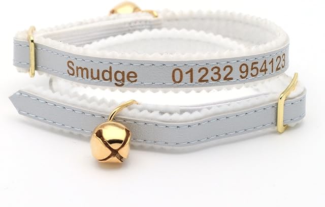 Personalised Custom Cat Kitten Collar | Design Your Unique Pet ID Tag | Laser Engraved (Silver)