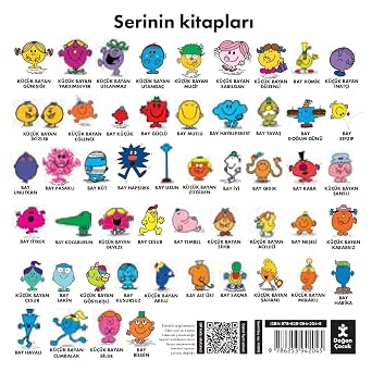 Bay Bilgin