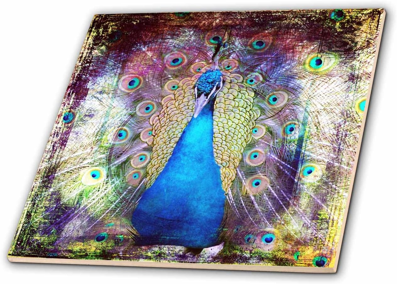 3dRose ct_130412_7 Peacock Grunge Digital Art by Angelandspot Glass Tile, 8-Inch