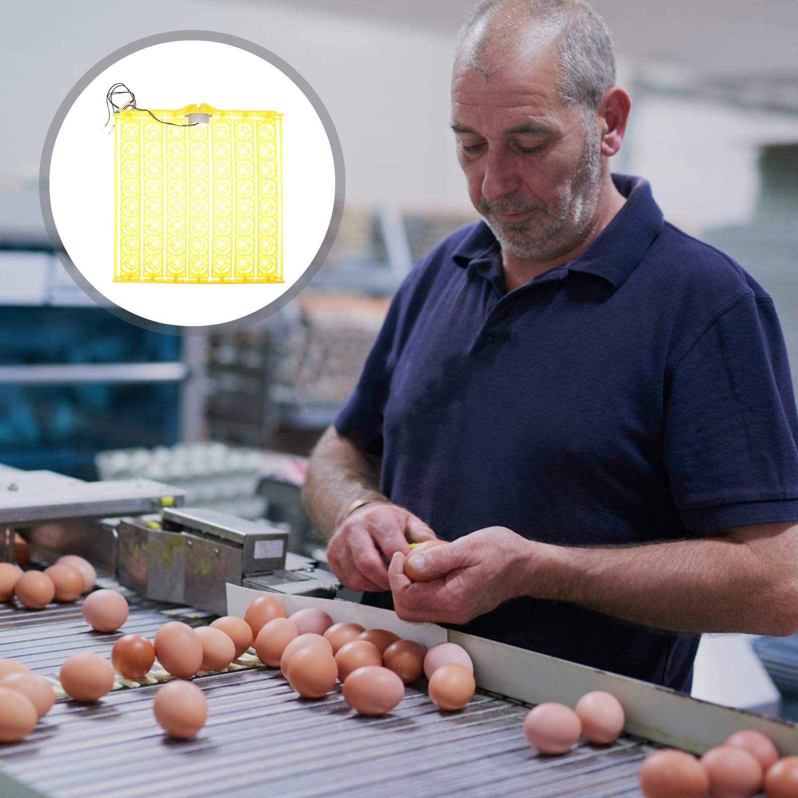Vassoio per Incubatrice Automatica delle Uova 56 Posti in Plastica