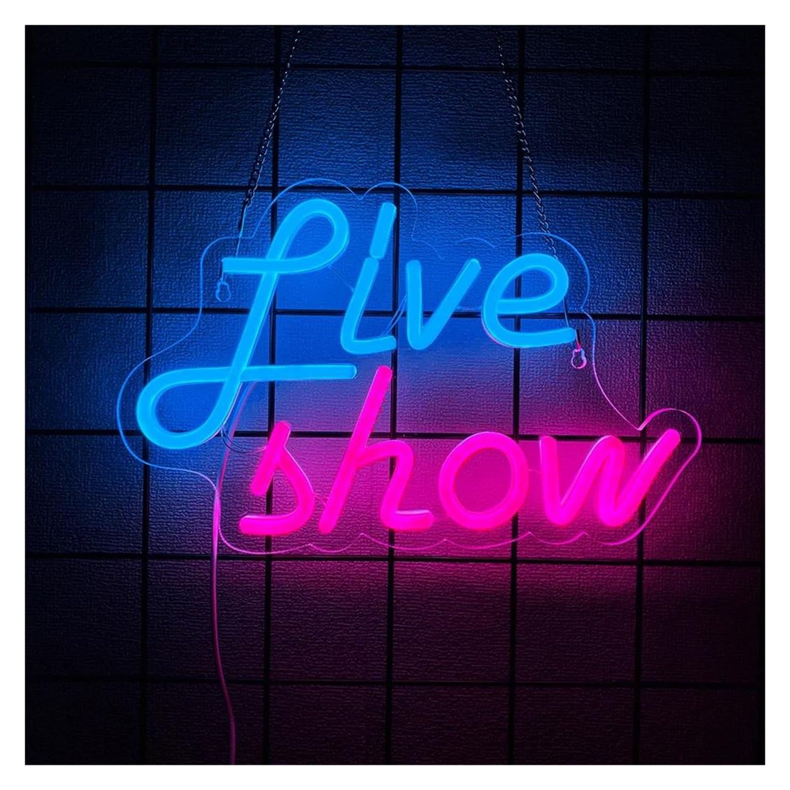 SHOUXI Sign Lamp Live Show Neon Sign Light Dimmable USB Powered for Live On Air Broadcasting Room Bar Club Party Bedroom Wall Decor 31cmx20cm