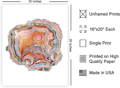 Vista 281 de Poster Master Póster de alpaca – Impresión de alpacas en pastizales – Arte de fotografía – Regalo para hombres, mujeres y amantes de los animales