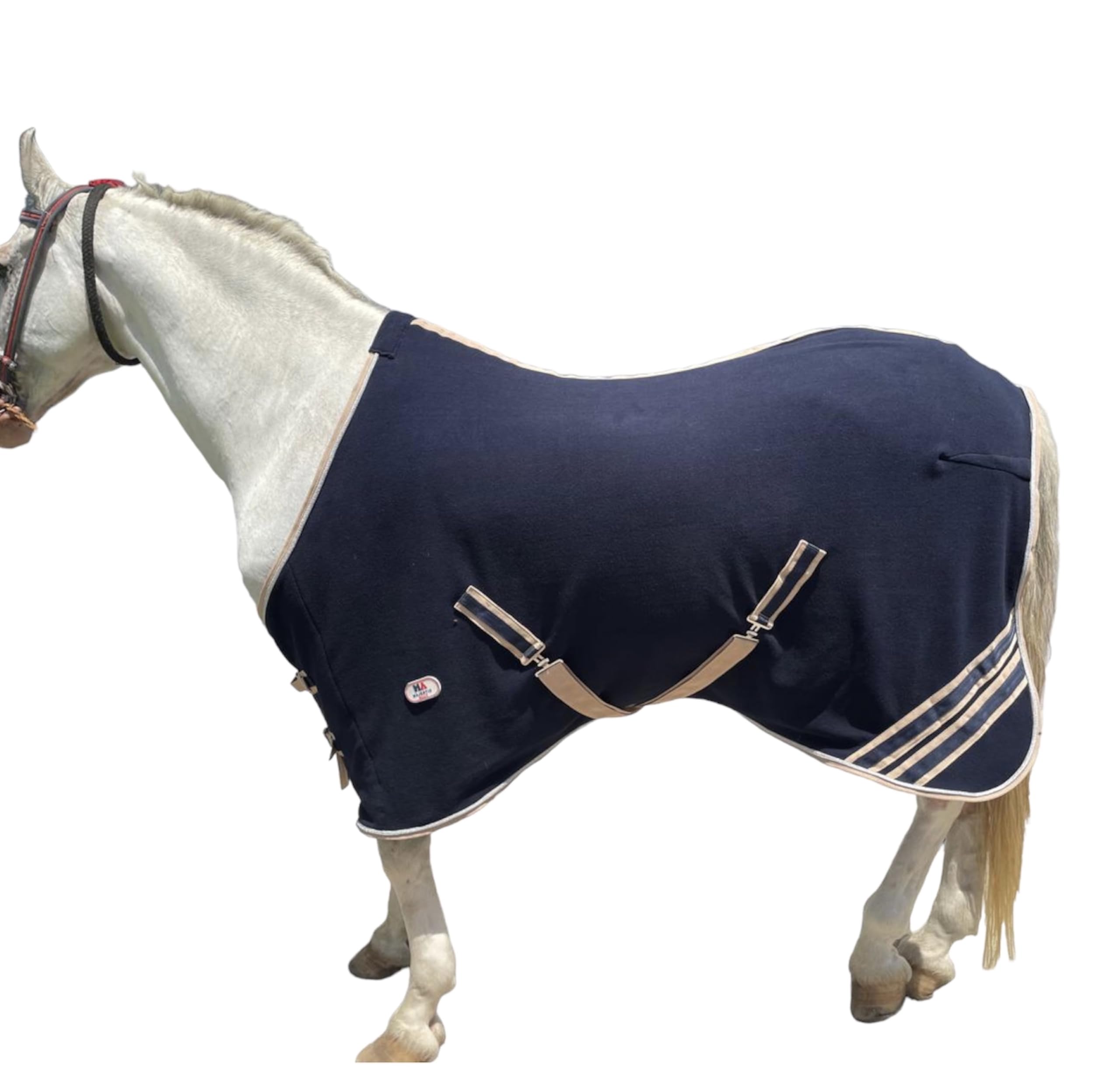 View 7