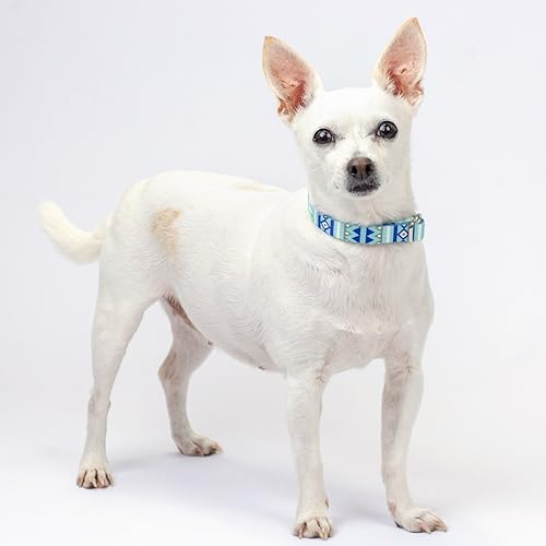 Miniatura 8 de Country Brook Petz - Juego de collar y correa de perro de muñeco de nieve de alta calidad, colección navideña con 11 diseños (grande)