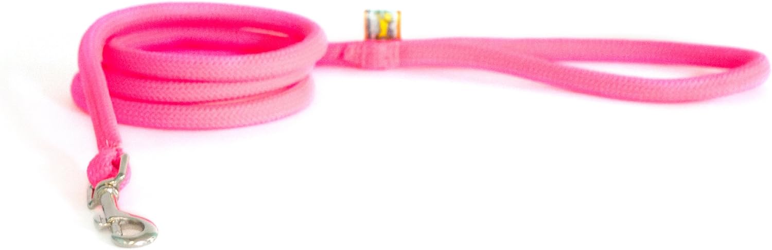 Yellow Dog Design Round Braided Lead for Dogs, 3/8-Inch, Teal