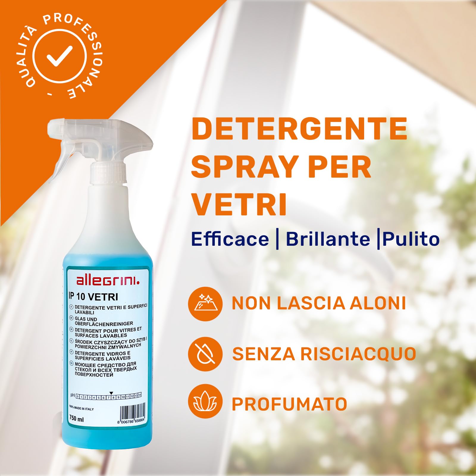 Allegrini IP 10 Spray Vetri Detersivo Pulizia Specchi Finestre Casa Detergente Vetri Auto Pulitore Multiuso 750 ml