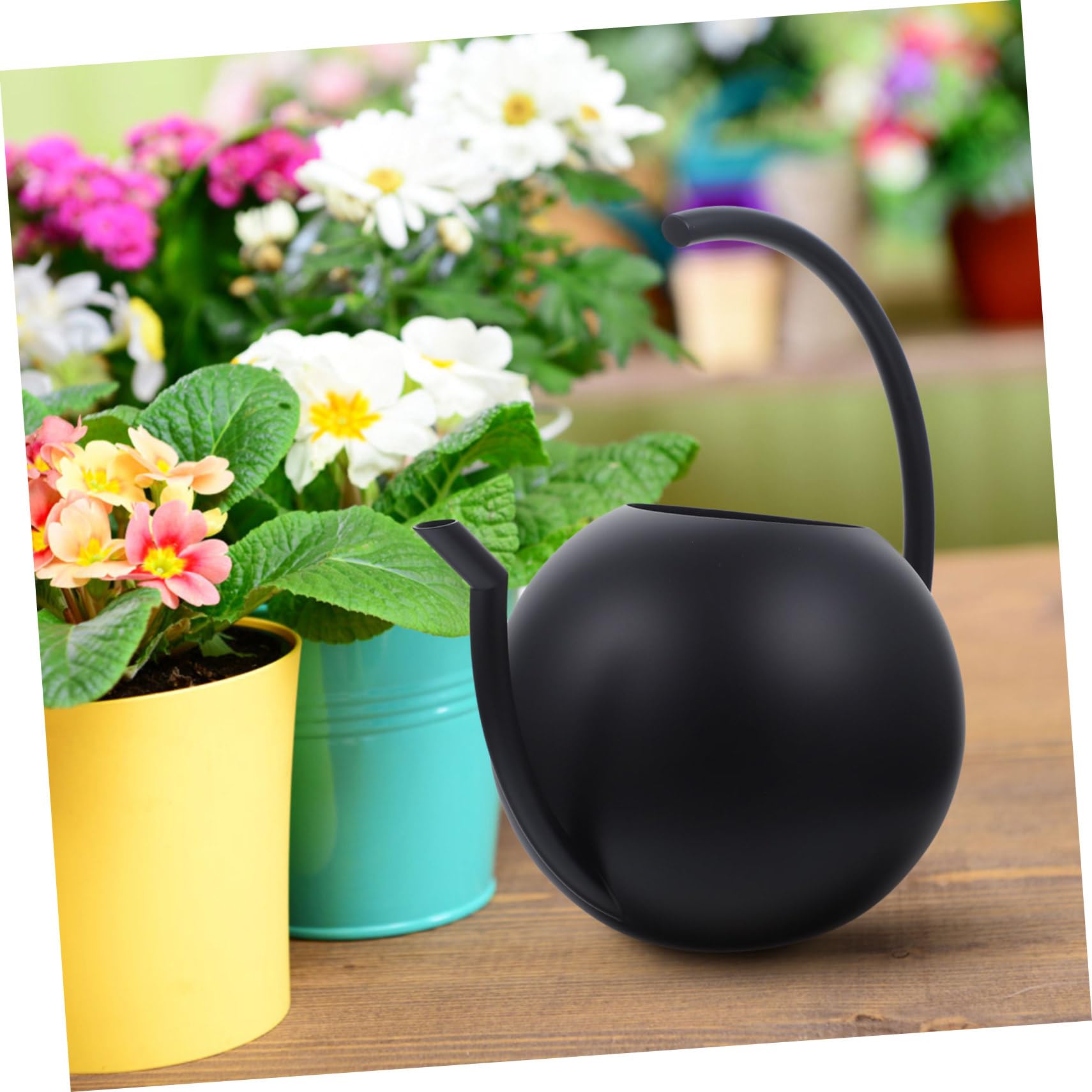 Arrosoir Simple 1l en Acier Inoxydable Noir pour Plantes et Maison