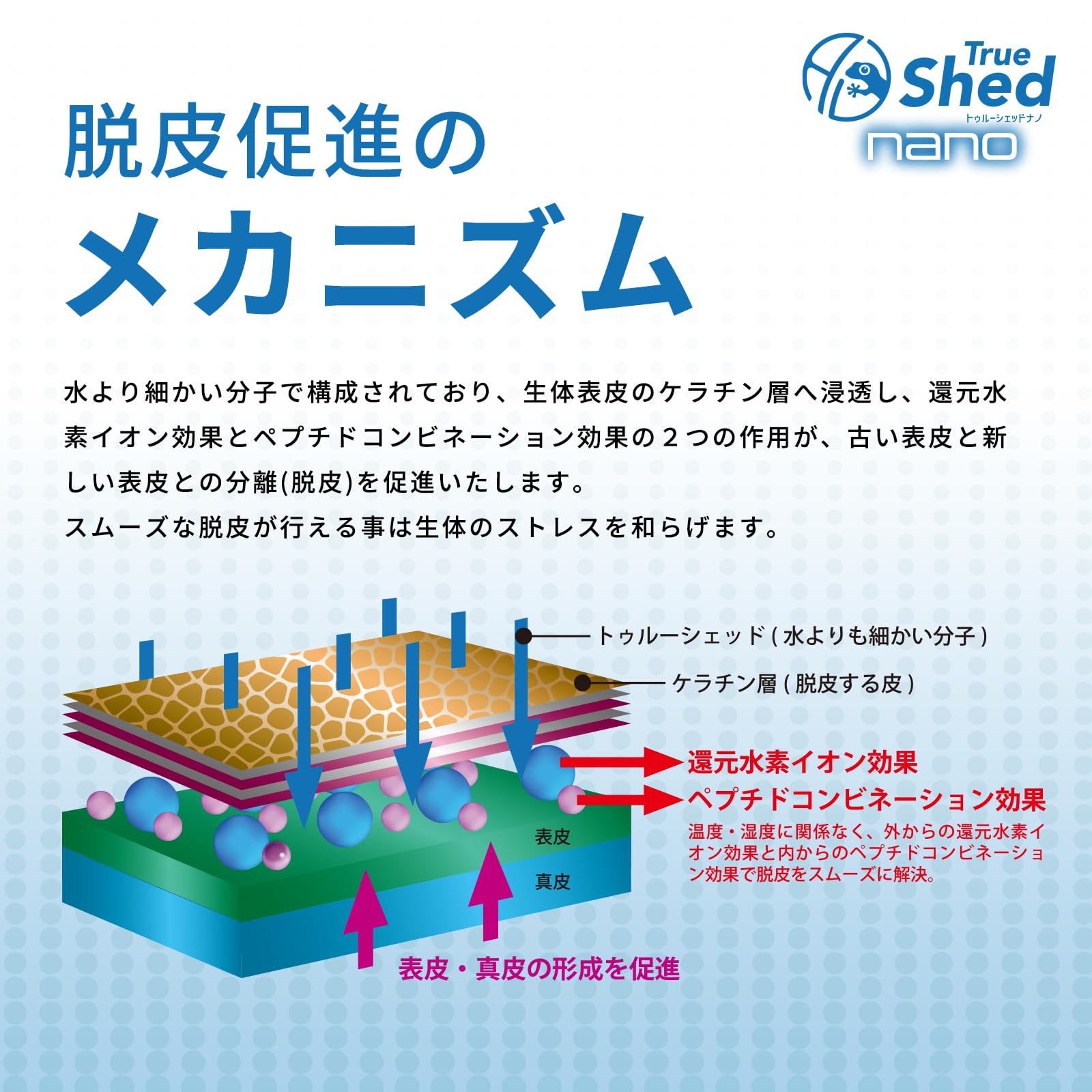 アリオンジャパンG.K　トゥルーシェッド　ナノ　100ml 4本セット Amazon | アリオンジャパンG.K トゥルーシェッド ナノ/True Shed Nano