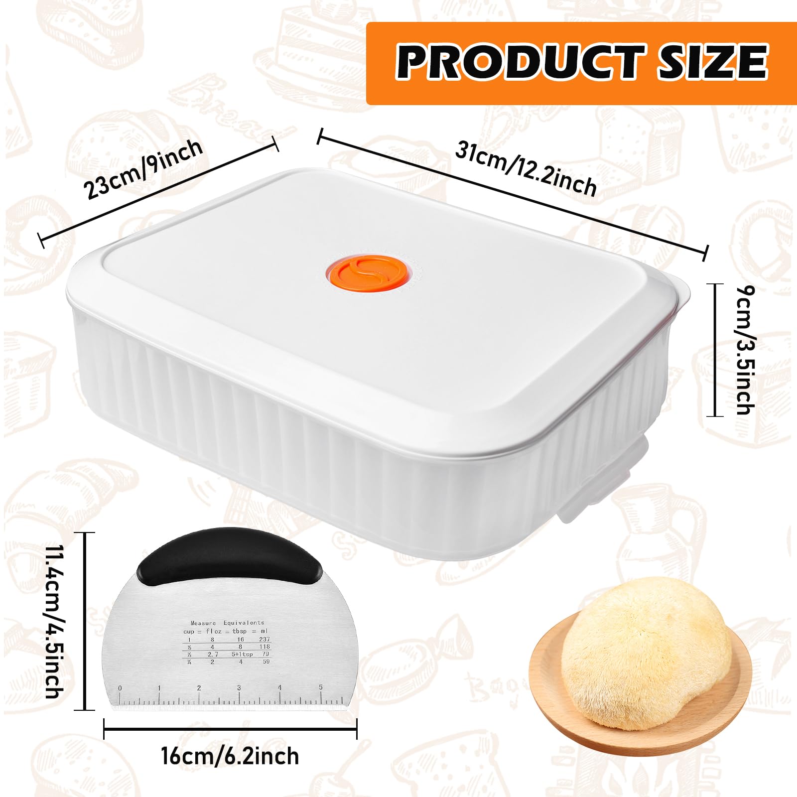 Asfrode Pizzaballenbox Gärbox mit Deckel, 31 × 23 × 9 cm Pizzabox Teigkasten Datumsaufzeichnung Teigwanne Teigbox Pizzateigbehälter Lebensmittelbehälter für Pizzateig Sauerteig Hefeteig