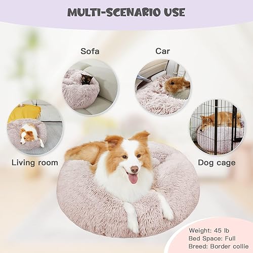Miniatura 9 de Himax Camas para perros pequeños, camas para perros con forma de dona con manta adjunta, cama calmante para perros lavable (202635 pulgadas), beige
