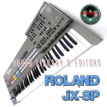 Amazon | ROLAND D-10/110 Huge Original Factory and NEW