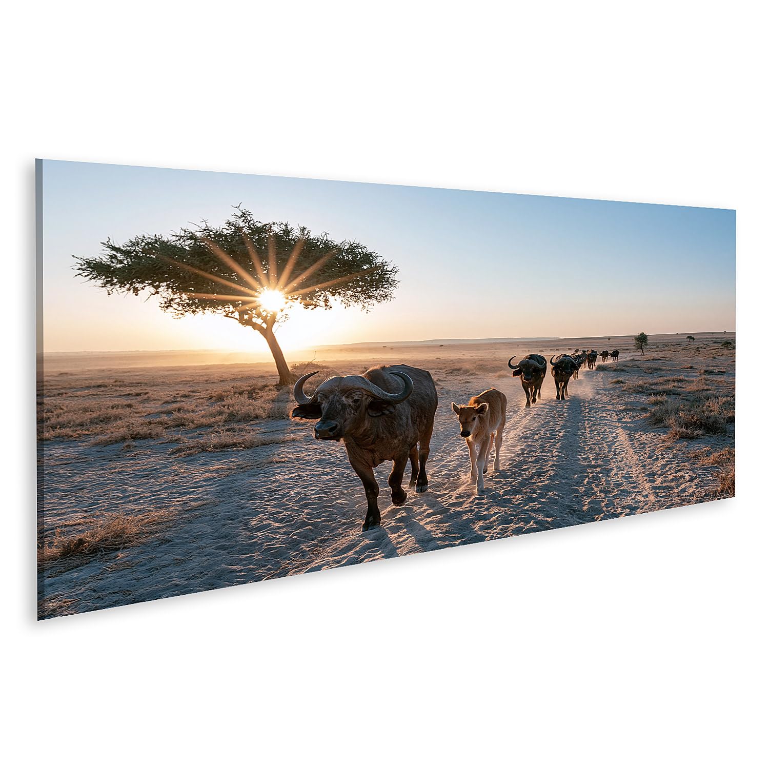 Impression sur toile panorama buffle d'eau majestueux édition A1 salon
