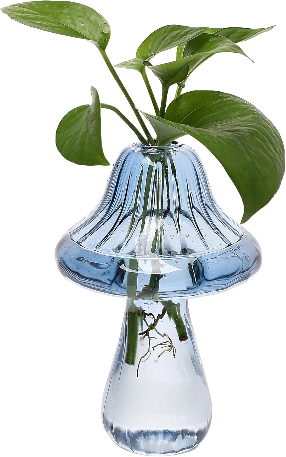 Mushroom Glass Vase Propagation Stations Flower Vases Home Decor Mushroom Planter Cute Vases Garden Decoration Set of 2 - Image 7