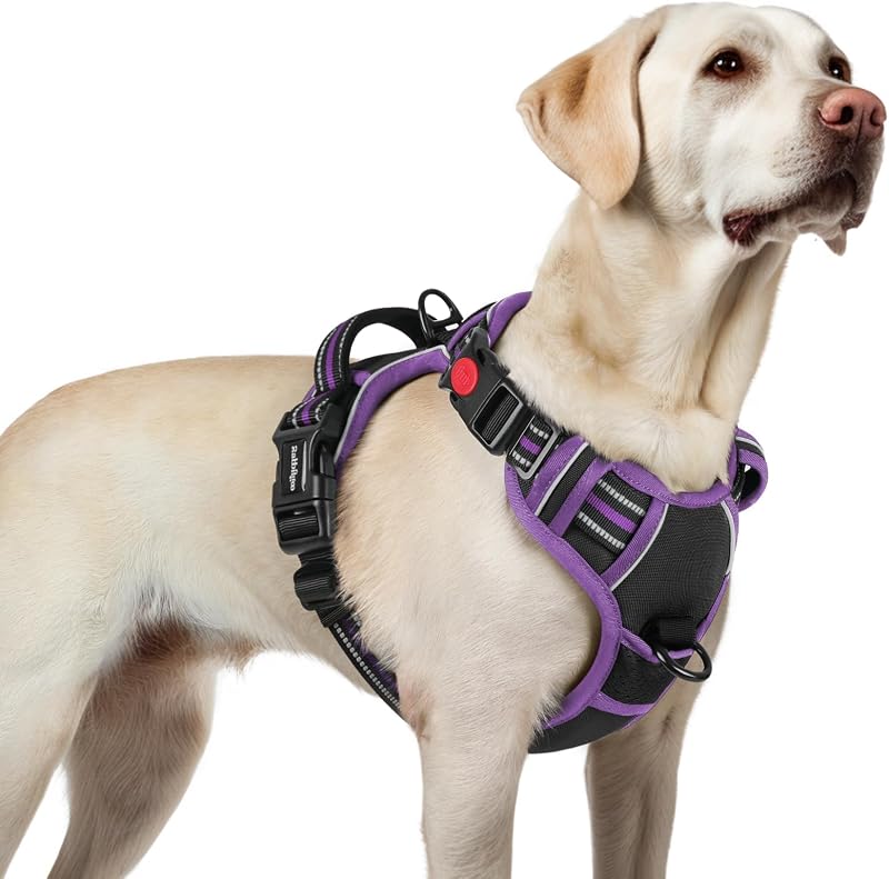 Peitoral Vest para Cães Grandes rabbitgoo com 3 Fivelas e Alças Ajustáveis