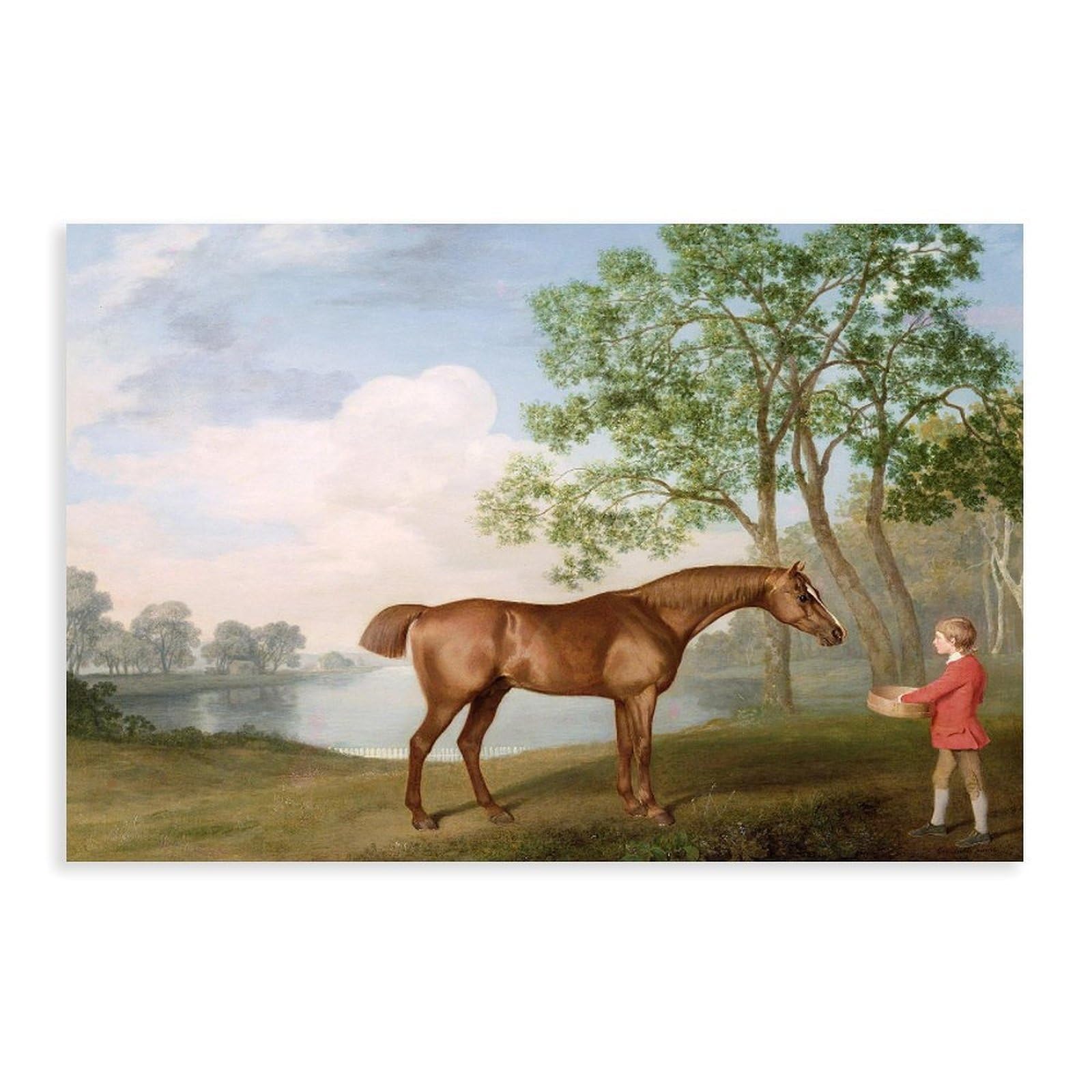 DFJyjFGJJ George Stubbs,Pumpkin with A Stable-Lad Canvas Posters Wall Art Bedroom Office Room Decor Gift 12" L X 18" W