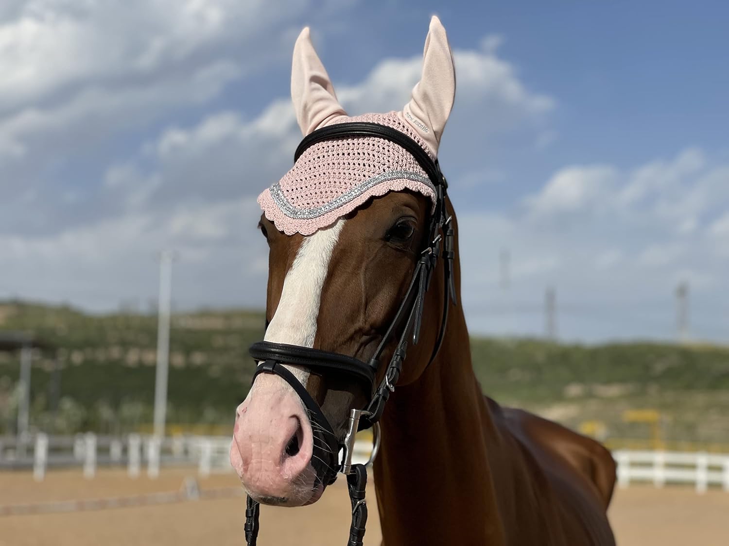 TGW RIDING Horse Ear Hood/Mask Horse Veil Horse Ear (Full, Light
