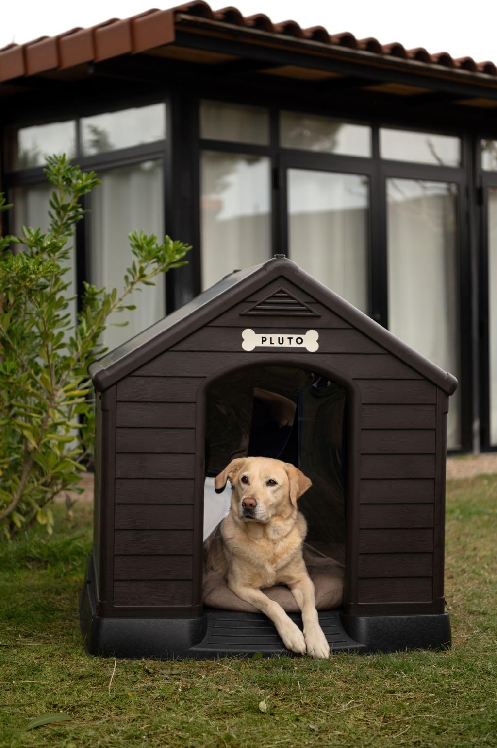 CURVER Caseta de Perro marrón grande, incluye cojín, cortina y etiqueta con nombre - Fabricada en resina 99Wx99LxH95 cm