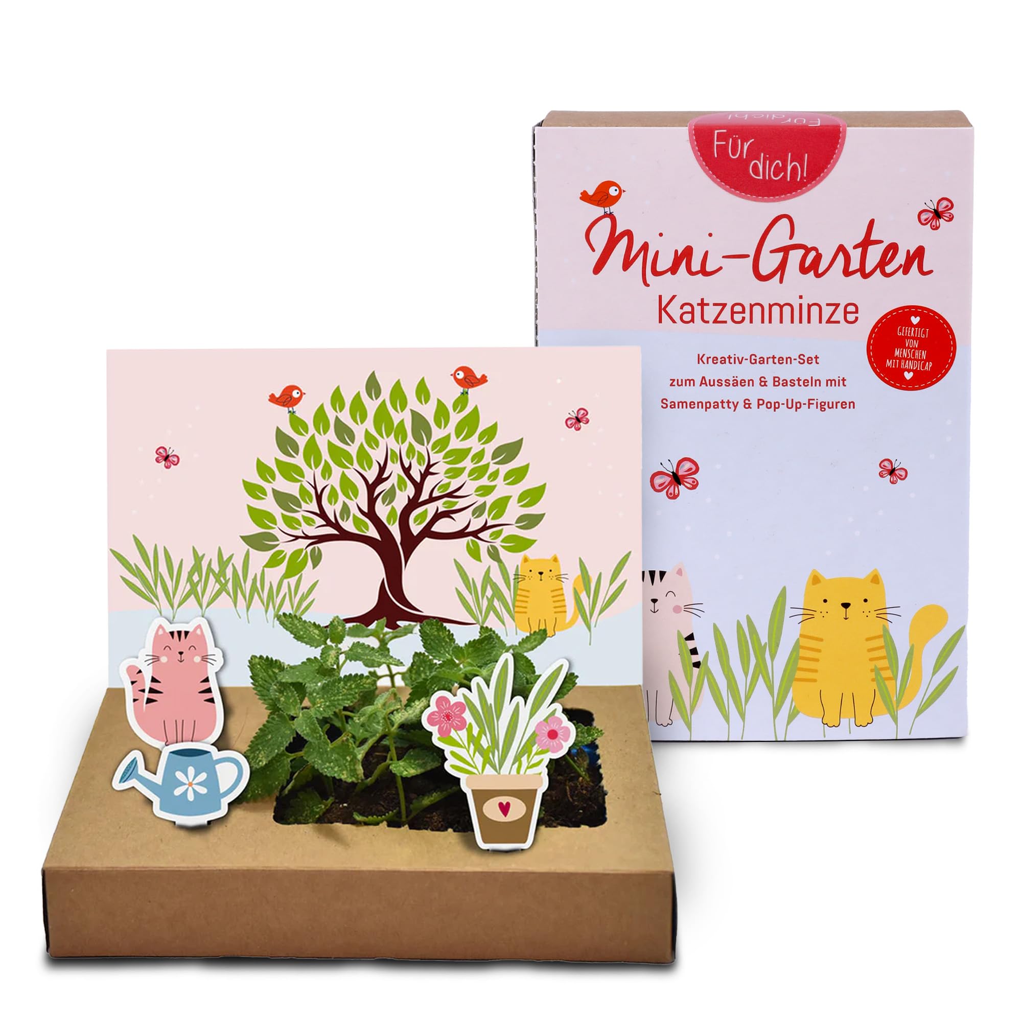 Tool & Tree mini-Garten Katzenminze – Pop-Up DIY Garten Set für Katzenliebhaber & Familien – inkl. Katzenminze-Saatgut, Anzuchtschale & Bastel-Deko – nachhaltiges Geschenkidee für kreative Köpfe