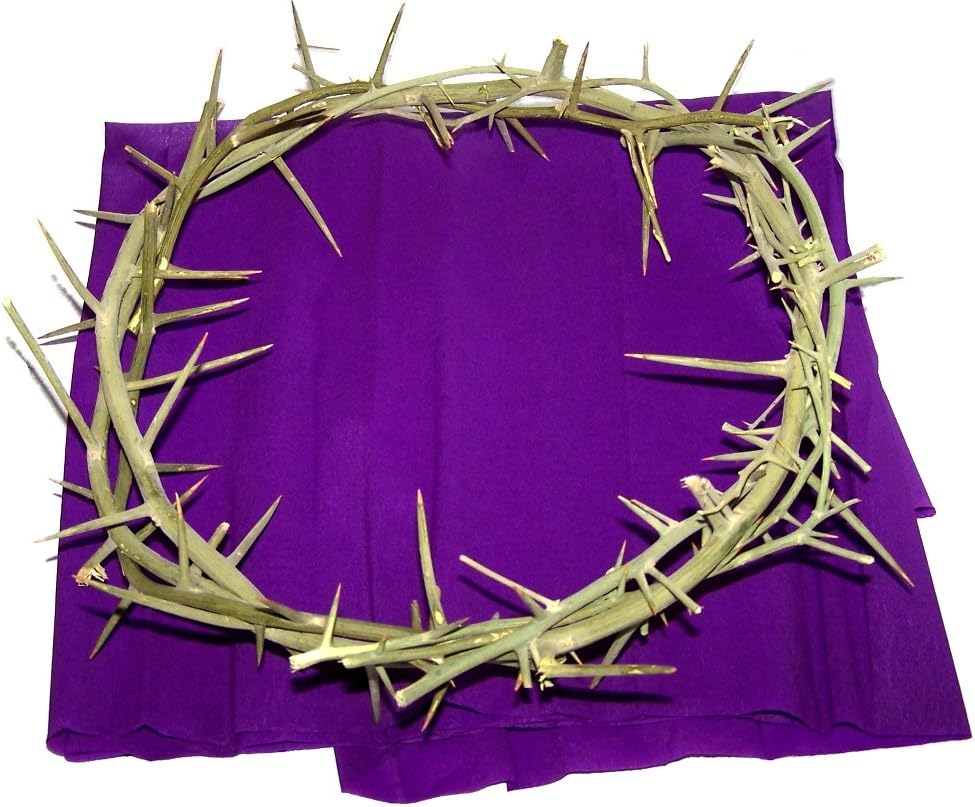 Holy Land Market Crown of Thorns From Jerusalem with Certificate of Origin