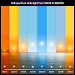 Philips Hue Intelligent LED A19 Ampoule, Blanc et Ambiance de couleur, E26 Base, 9.5W, Plein spectre 1000K-20000K, 1100 Lumens, Dimmable, Fonctionne avec Alexa, Google Assistant et Apple Home, paquet de 2