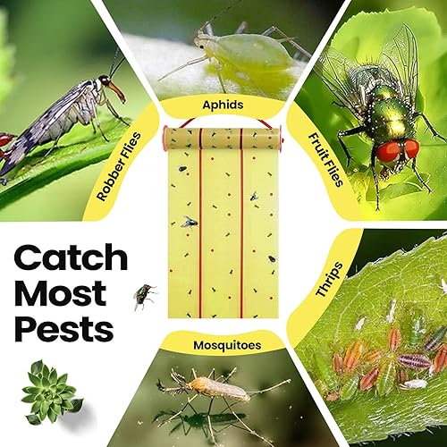 Miniatura 4 de Qualirey Trampas adhesivas gigantes para moscas, tiras de moscas de 30 pies para interiores y exteriores, cintas voladoras no tóxicas, mata