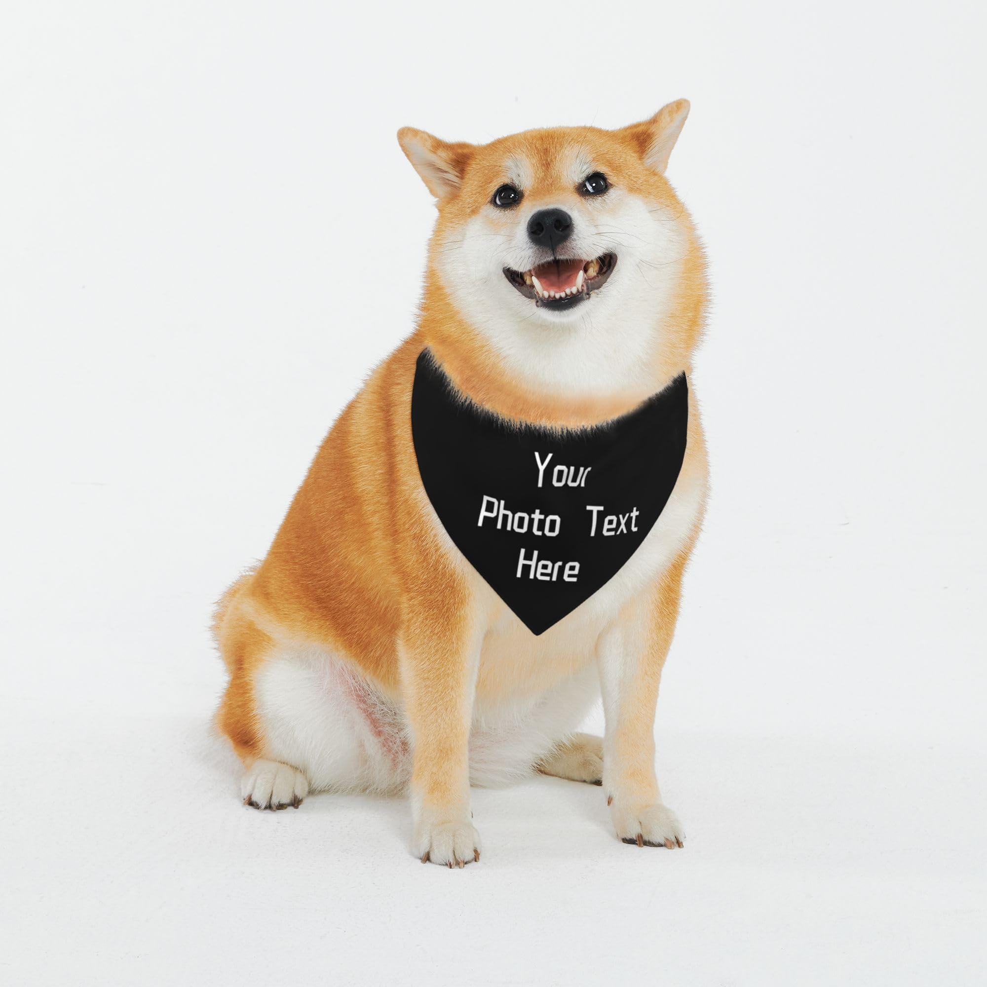Personalized Pet Scarf Dog Bandana with Name, Custom Add Your Photo Text Logo, Bibs Triangle Head Scarfs for Small Medium Large Dogs Cats Baby Puppy Accessories — image 1