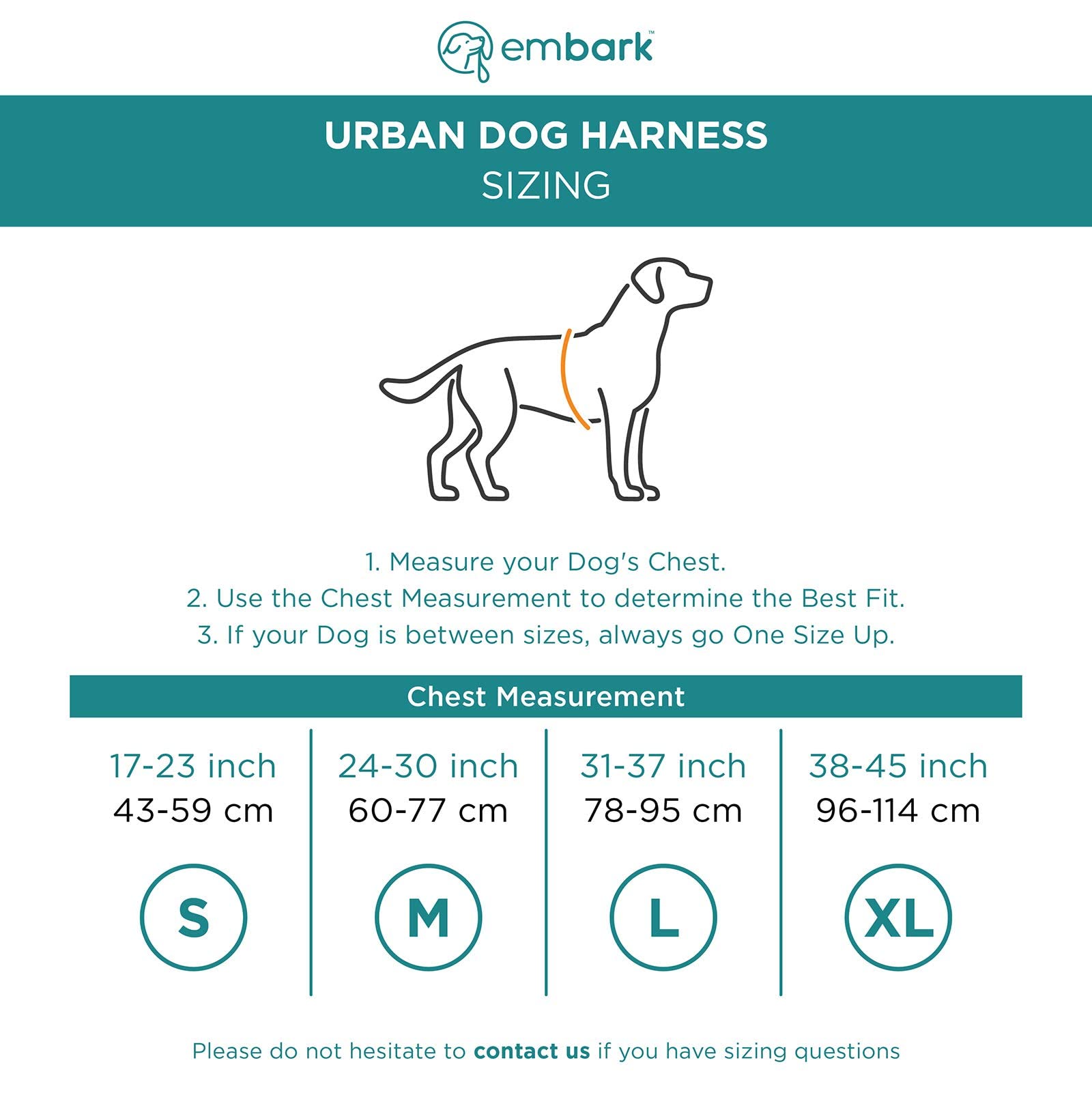 How Do You Measure For A Dog Harness