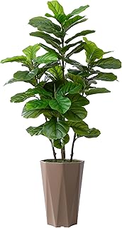 Artificial Fiddle Leaf Fig Plant Indoor 5FT Faux Fig Tree with Mocha Dia...