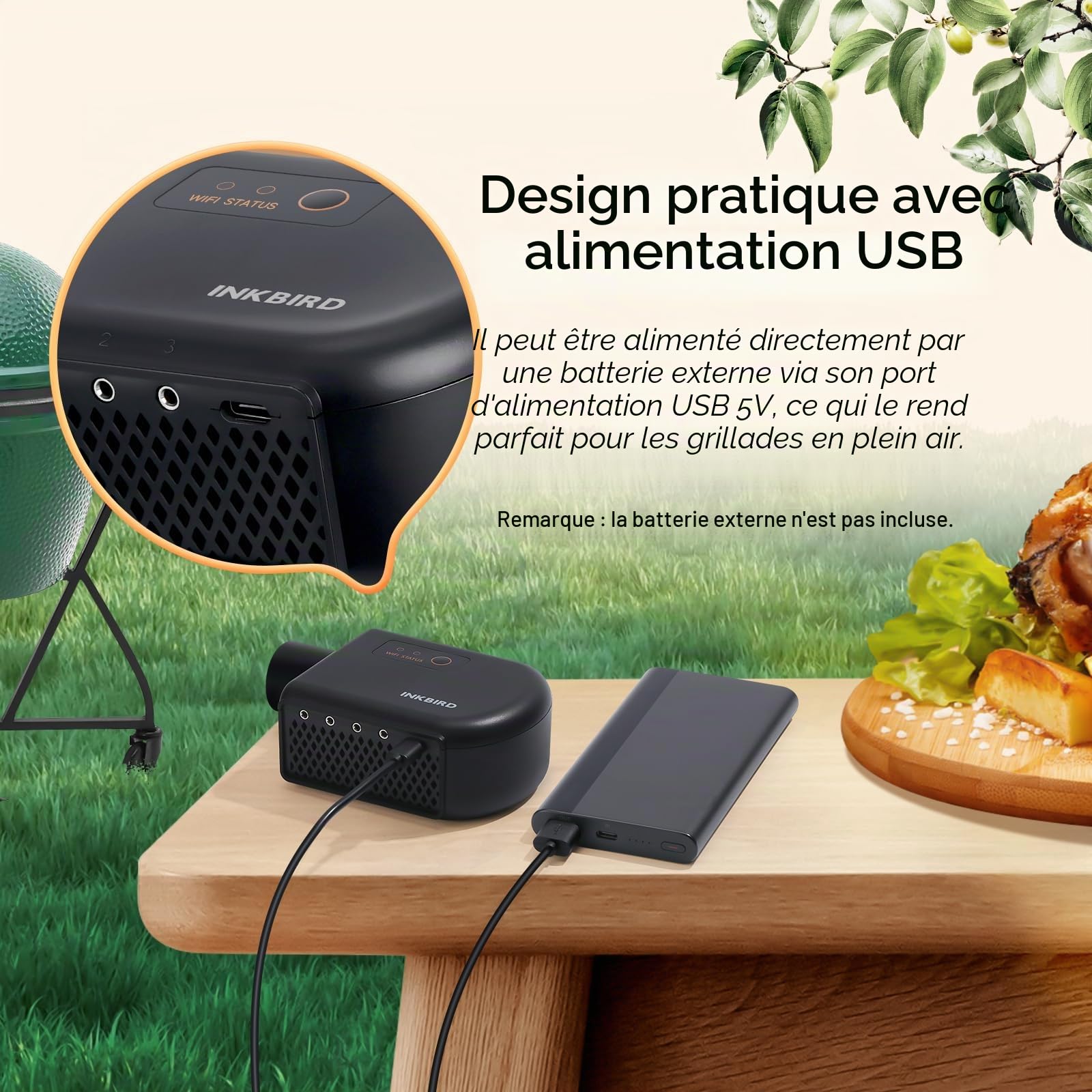 Inkbird Ventilateur de barbecue Bluetooth 5.1 et Wi-Fi 2,4 GHz - Thermomètre automatique avec 4 sondes - Compatible avec Big Green Egg, Kamado Joe, Primo, Vision Grill, Akorn Kamado