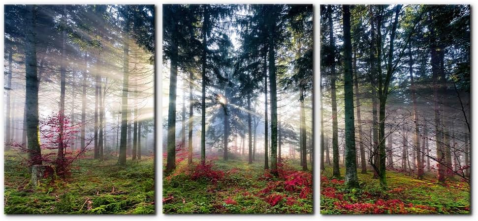 Pacimo 3 Pieces Canvas Wall Art Nature Landscape Sunrise Trees Pictures Painting Prints on Canvas Wall Decoration for Living Room Forest Framed Modern Artwork for Bedroom and Home Decor - 20"x28"x3