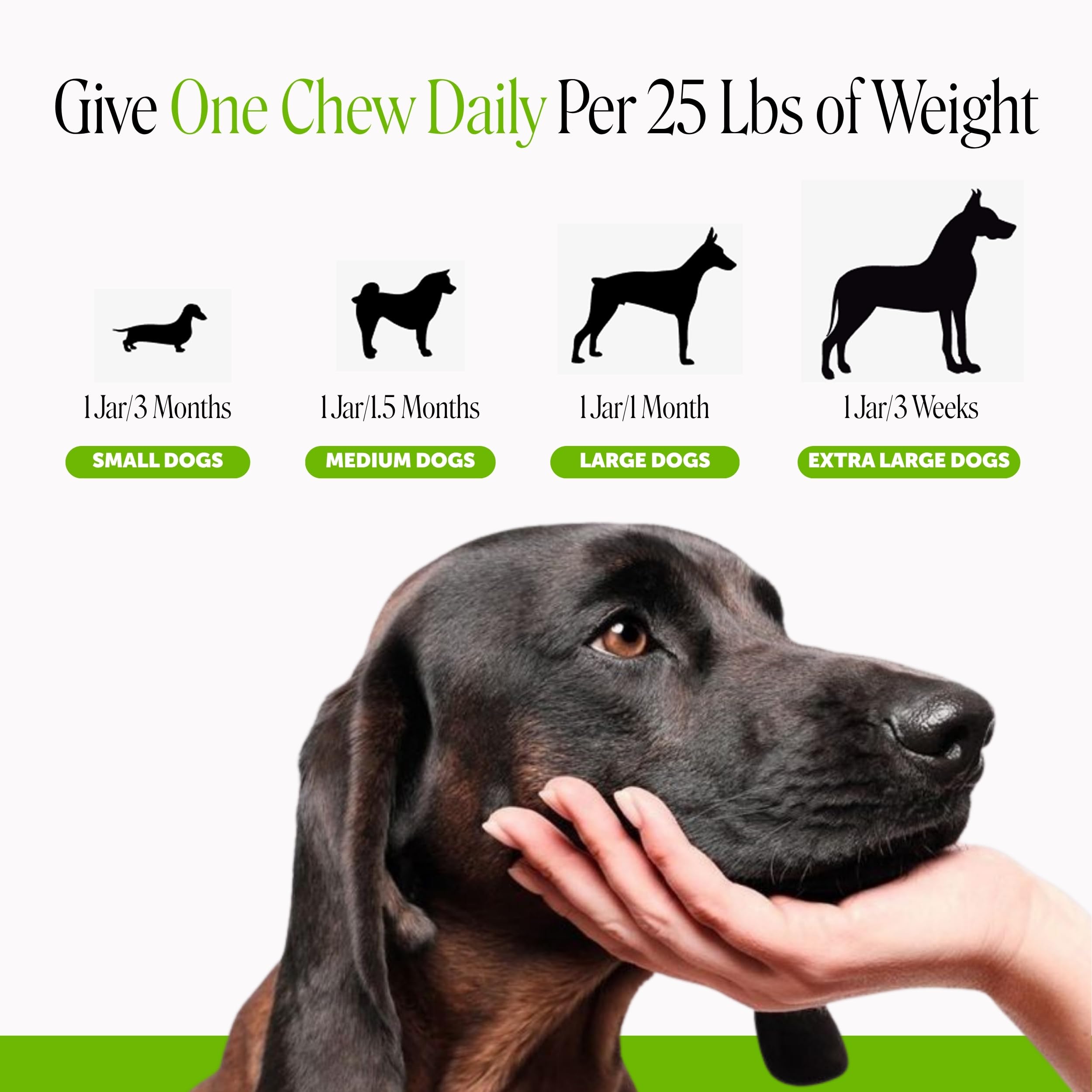 Pet Honesty Vet Recommended Cranberry Supplement for Dogs, 90 Ct, Bacon — Amazon image 6