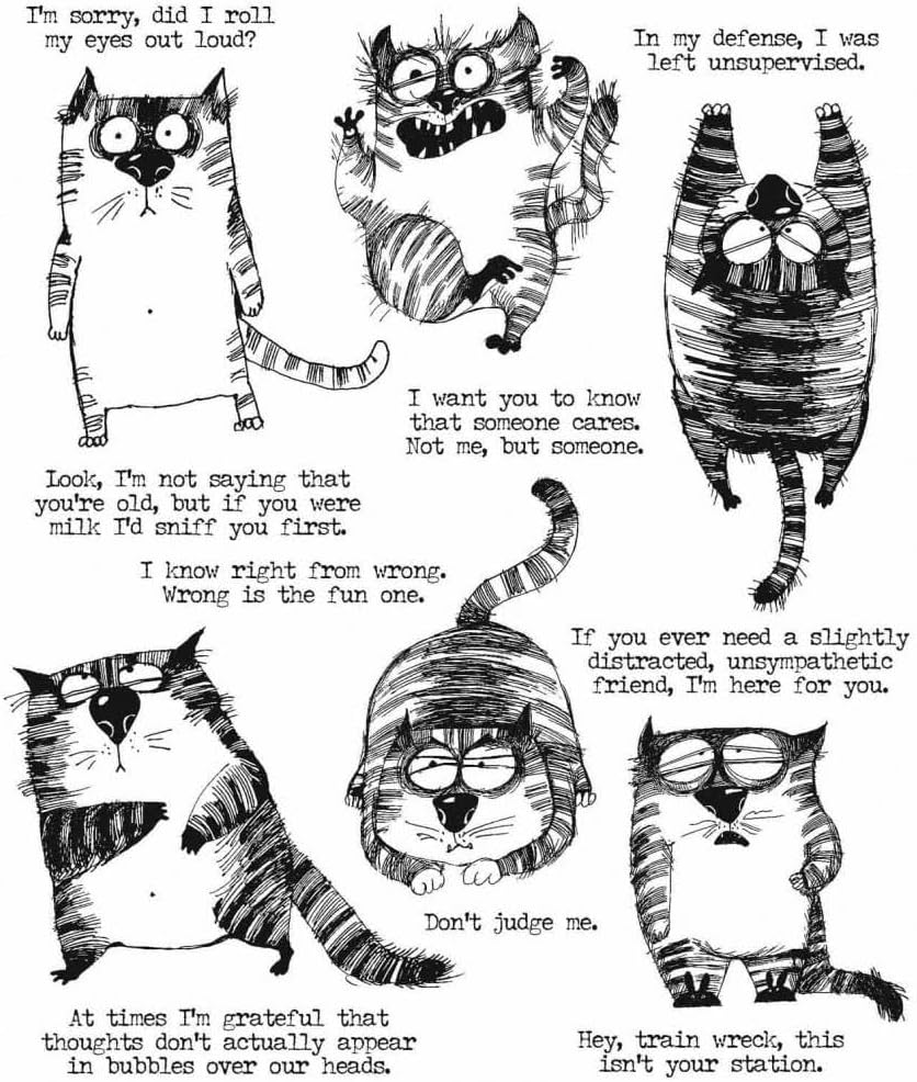 Stampers Anonymous CLING RBBR STAMP SET SNARKY CAT, us:one size