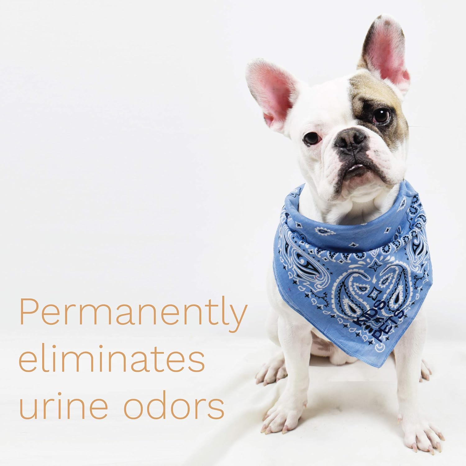 KIDS 'N' PETS - Instant All-Purpose Stain & Odor Remover – 27 fl oz - Permanently Eliminates Tough Stains & Odors – Even Urine Odors - No Harsh Chemicals, Non-Toxic & Child Safe, Multi-Color : Pet Supplies