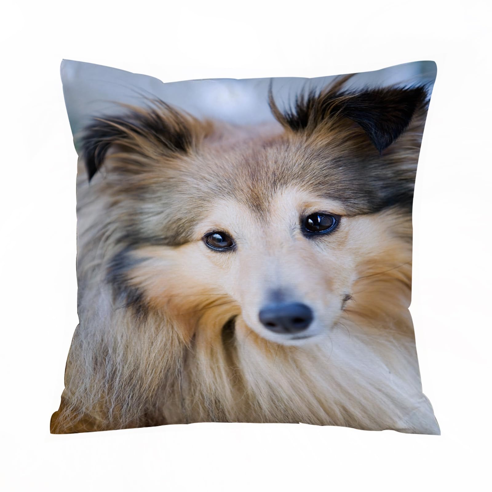 ERRTU Throw Pillow Case Pillowcase Square Printed Cushion Cover for Living Room Sofa Couch Bed Car,up of cute little sheltie dog,16x16 in