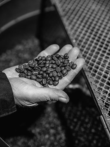 Miniatura 3 de Bristot Lungo Americano Cápsulas de café – tostado medio – Compatible con máquina original Nespresso – 100% aluminio reciclable – Paquete de 10