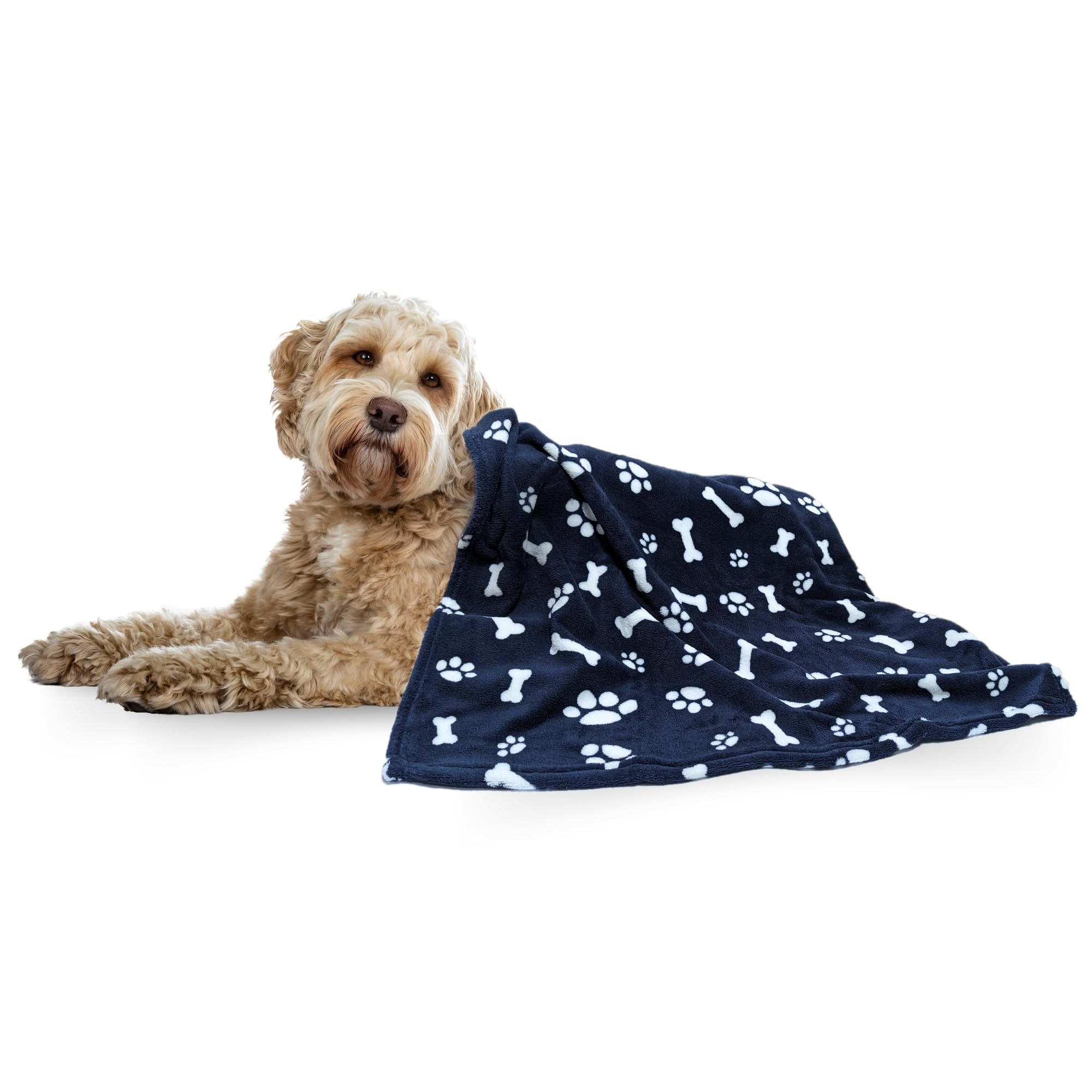E&A Distribution Limited Pet Blanket for Dogs and Cats Small Medium Fleece Flannel Blanket for Pets 100x 85cm - Soft Fluffy Warm Blanket Throw- Cute Dogs Cat Blanket Paws & Bones