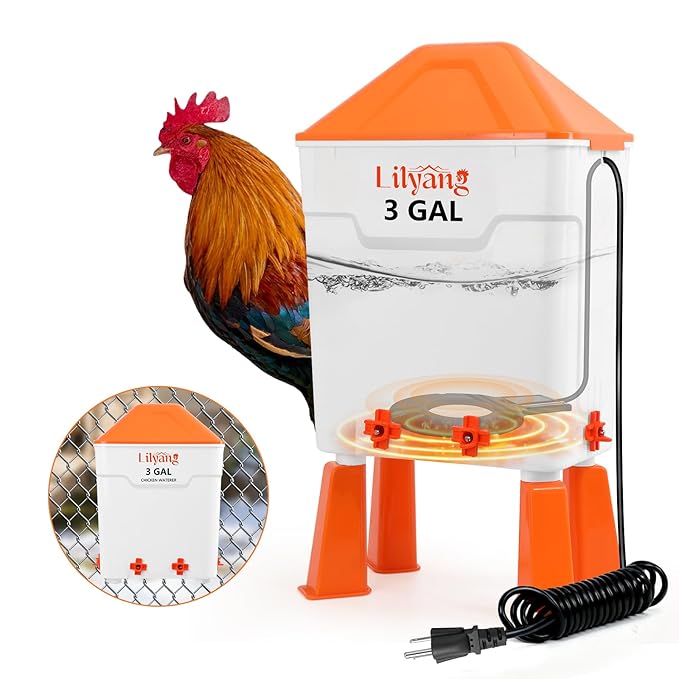 Lilyang Heated Chicken Waterer 3 Gallon, 250W Chicken Water Heater with Thermostat Control