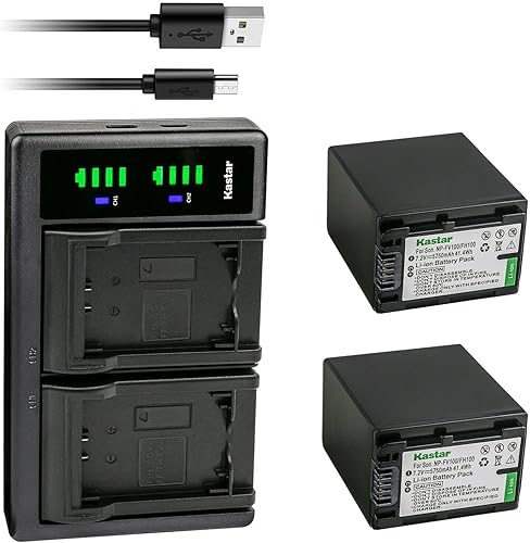 Kastar Paquete de 2 cargadores USB NP-FV100 y LTD2 compatibles con Sony HDR-CX280 HDR-CX290 HDR-CX300 HDR-CX305 HDR-CX320 HDR-CX330 HDR-CX330E
