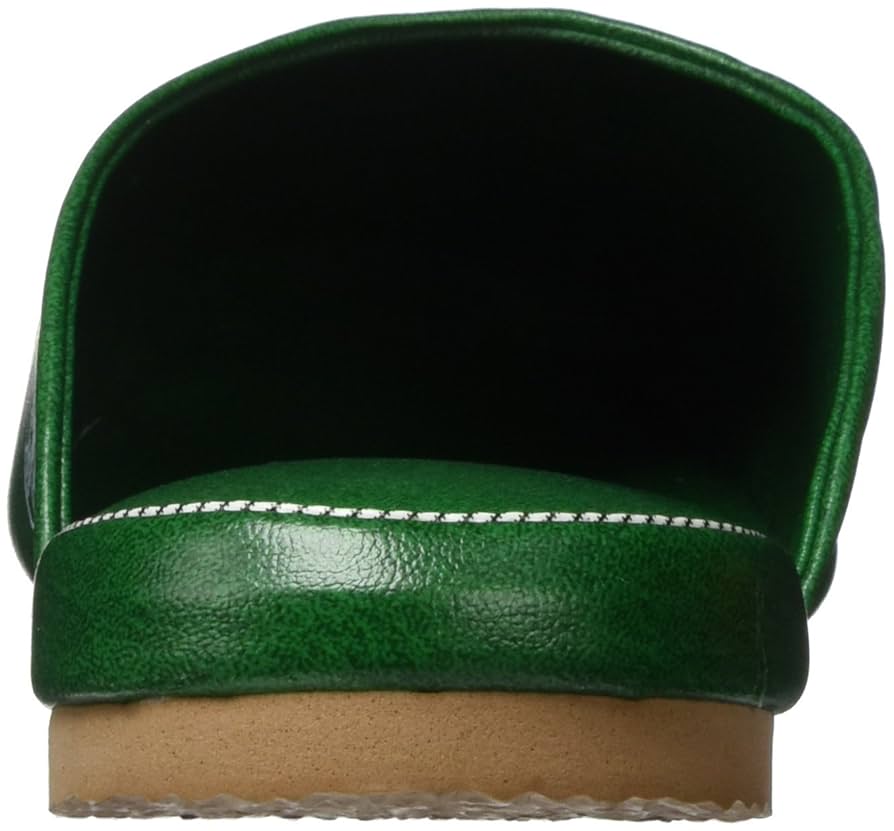 Amazon.co.jp: 遠藤商事 業務用 抗菌スリッパ L グリーン SSK