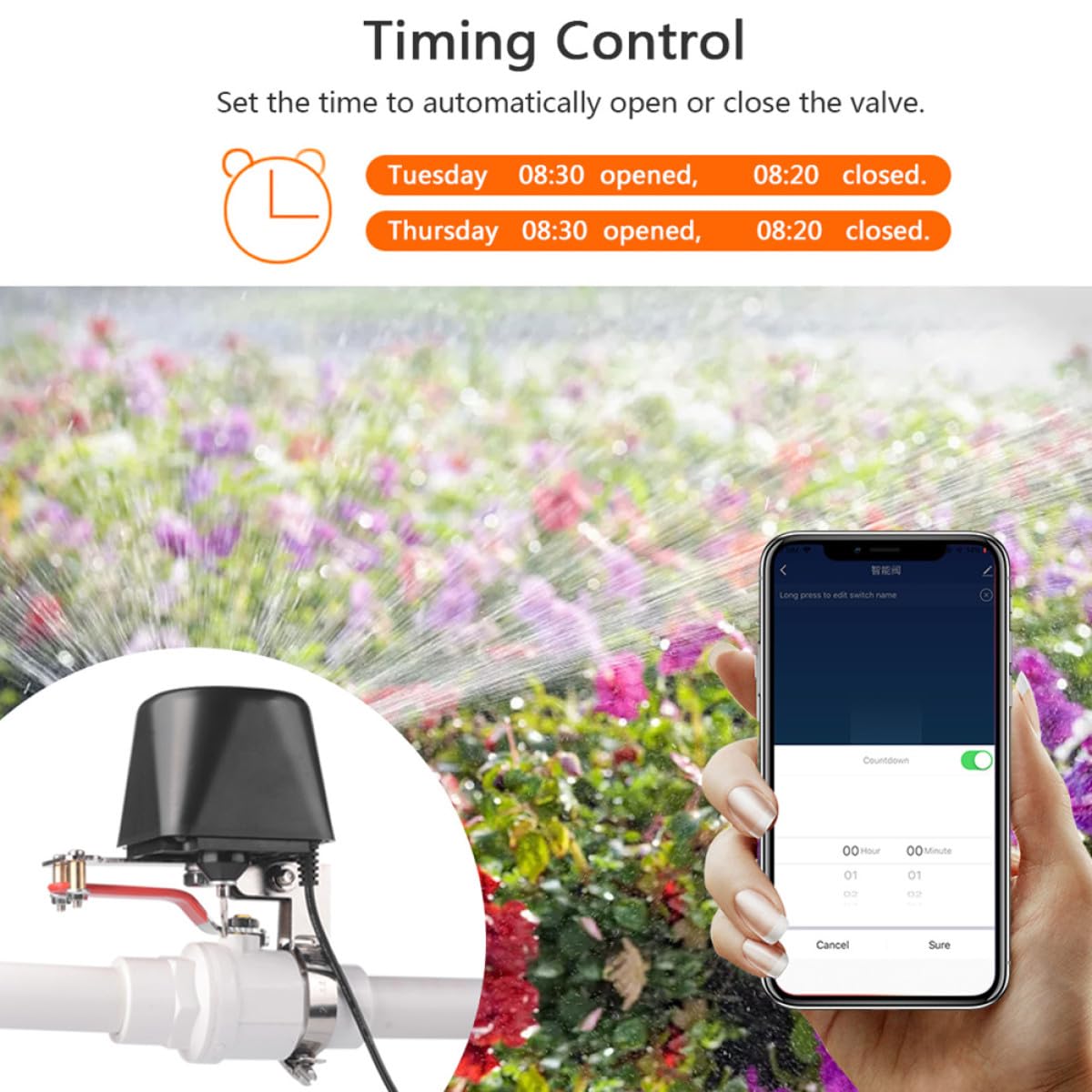 Valvola Smart Ac220 in Plastica e Metallo, Nero, Controllo | Funzione Temporizzata, Apertura Automatica 5-10 Secondi, Distanza Esterna 10m, Coppia 30-60kg. Cm