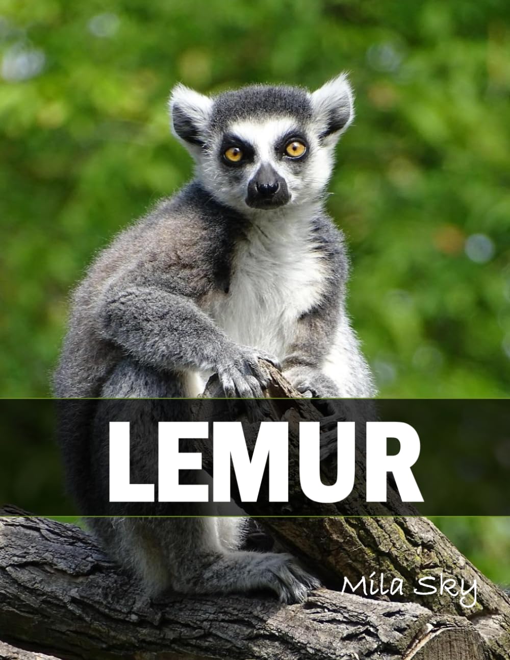 Lemur: A Coffee Table Photo Book for Animal Lovers