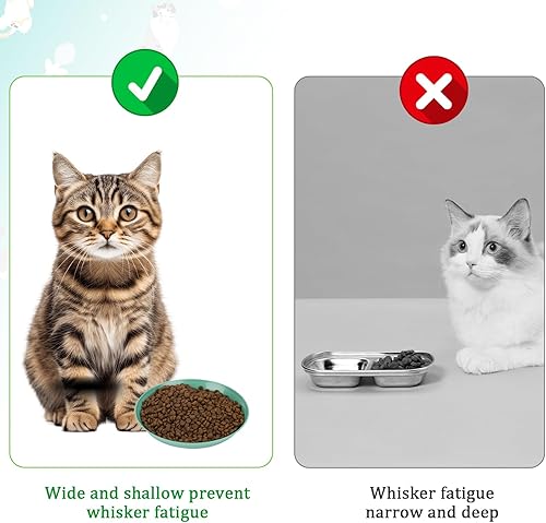 Miniatura 5 de Plato de comida para gatos poco profundos, 4 unidades, comida húmeda para gatos, cuencos planos para gatos, sin fatiga, platos para comida y agua,