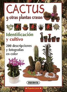 Cactus y Otras Plantas Crasas: Identificacion y Cultivo