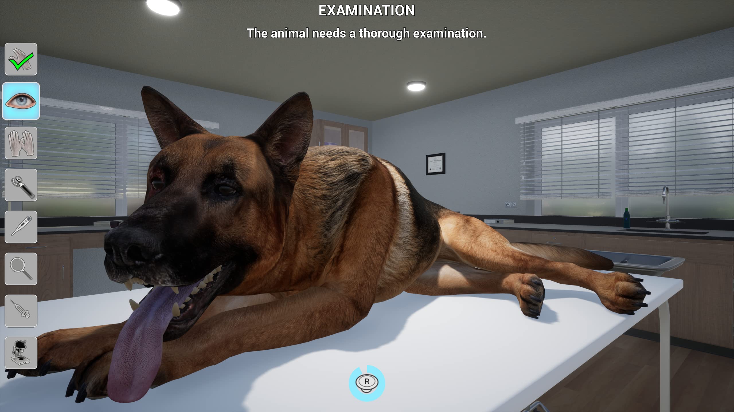La mia vita: Veterinario - Nintendo Switch