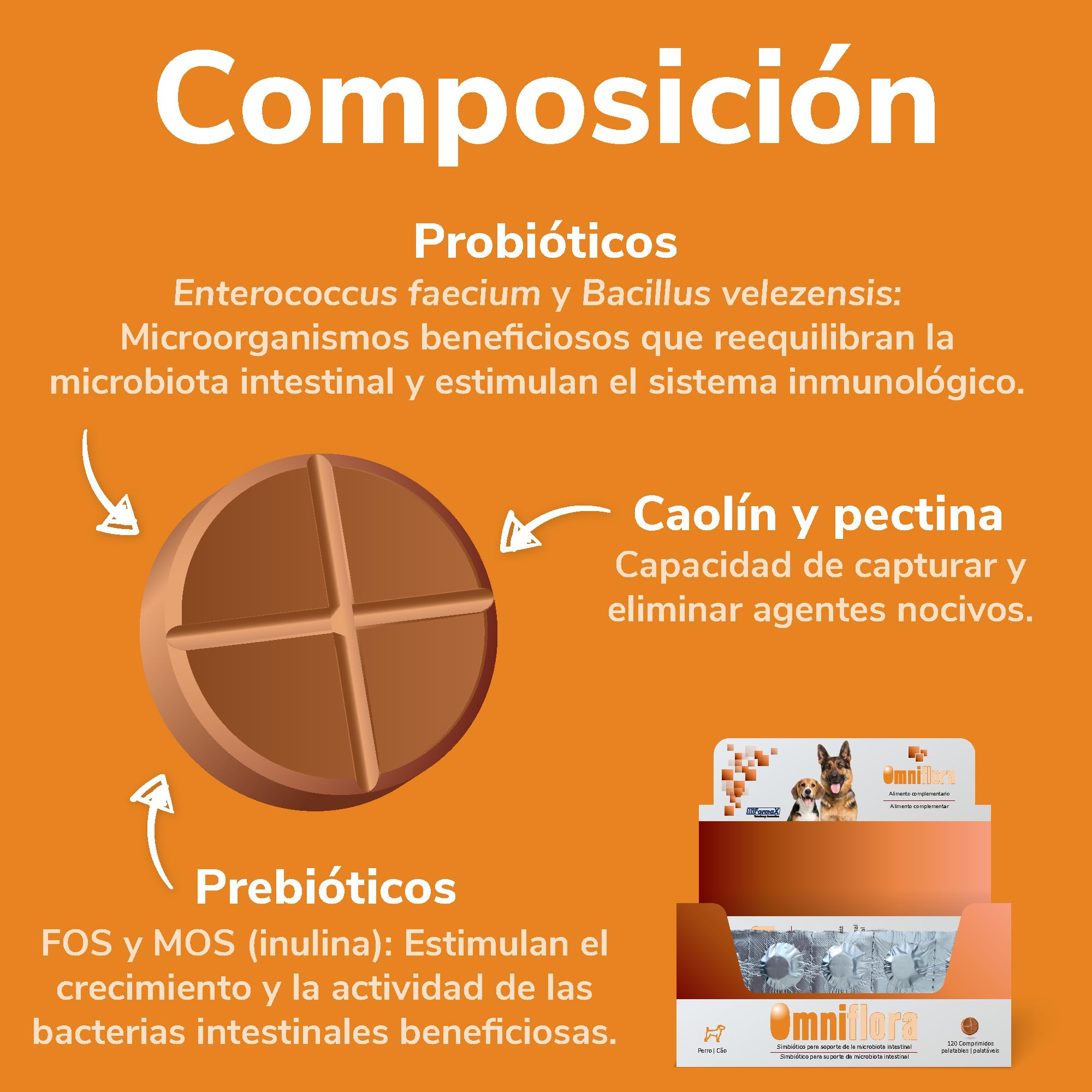 Omniflora Hifarmax - Prebiótico y Probiótico para Perros | Suplemento Digestivo con Probióticos para Perros | Apoyo Gastrointestinal | Complemento Alimenticio para la Flora Intestinal, 120 Comprimidos