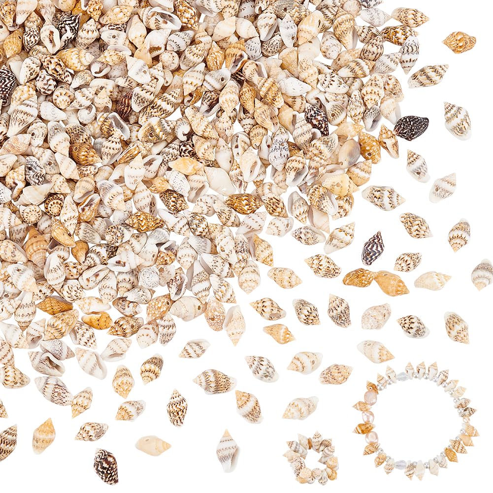 PH PandaHall 540pcs Natural Spiral Sea Shell Beads