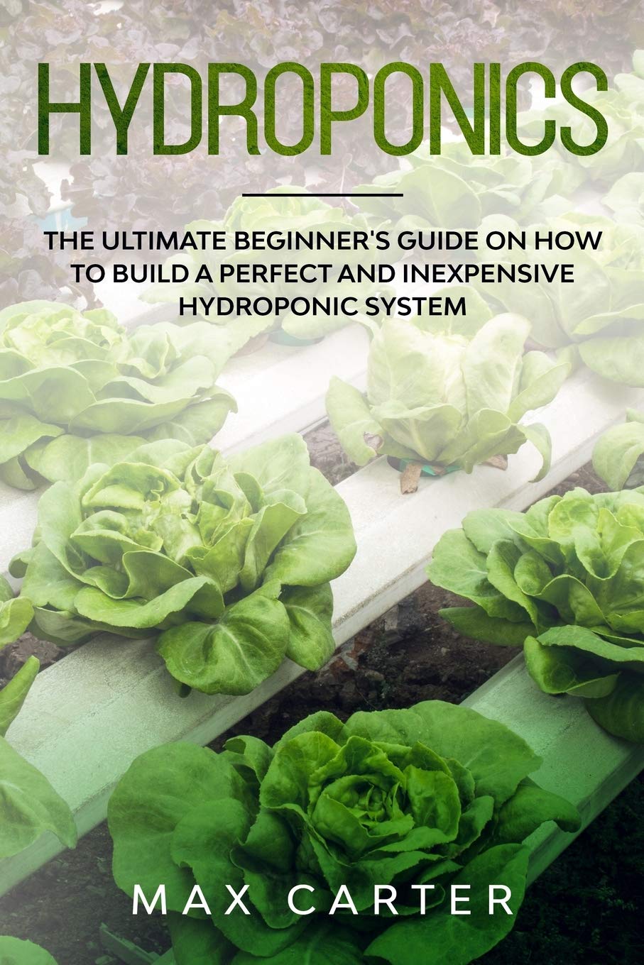 Buy Hydroponics: The Ultimate Beginner's Guide On How To Build A ...