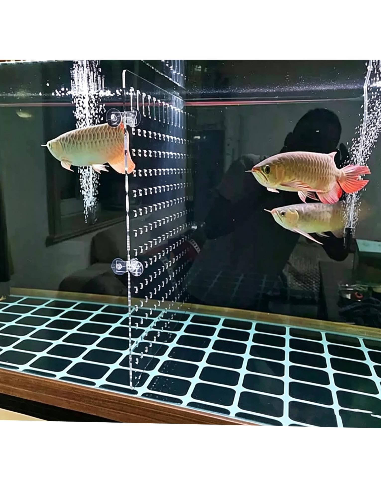 Divisorio per acquario in acrilico 5 mm, trasparente, 28–70 cm