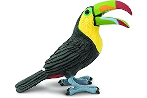 Toucan Toy: Lifelike Figurine for Educational Fun